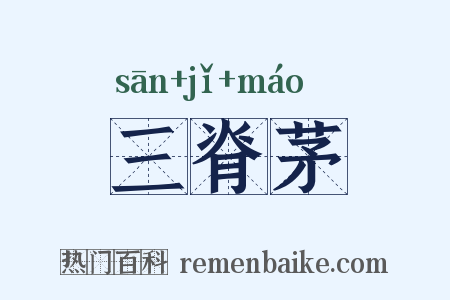 三脊茅是什么意思的图片